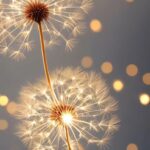 Fernbehandlungen und Traumata lösen